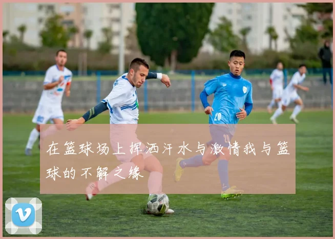 在篮球场上挥洒汗水与激情我与篮球的不解之缘