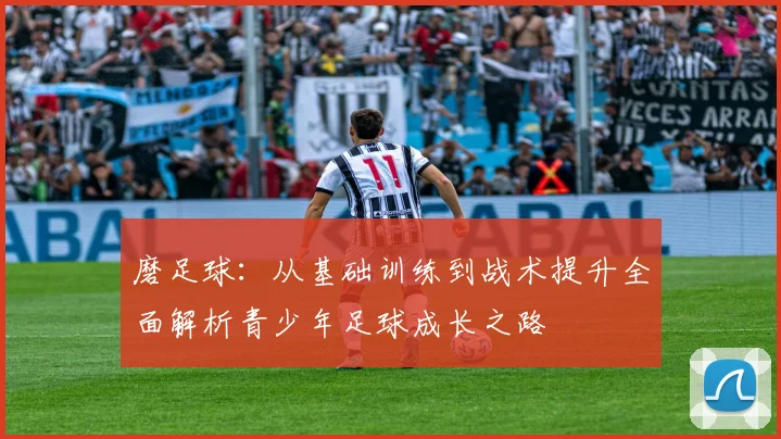 磨足球：从基础训练到战术提升全面解析青少年足球成长之路