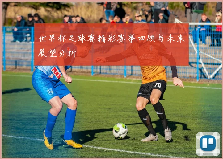 世界杯足球赛精彩赛事回顾与未来展望分析